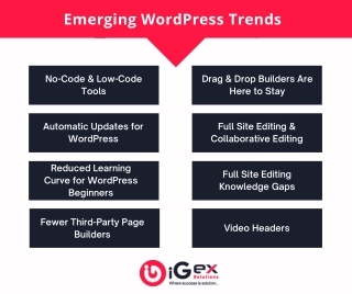 Emerging WordPress Trends