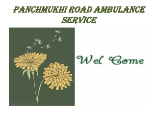 Ambulance Service in Badarpur, Delhi by Panchmukhi Road