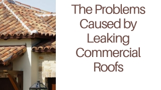 The Problems Caused by Leaking Commercial Roofs