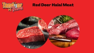 Red Deer Halal Meat