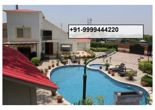 Farmhouse in Greater Noida, 1 Bigha Farm House for Sale in Noida,