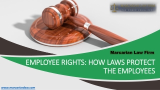 Employee Rights: How Laws Protect the Employees- Marcarian Law