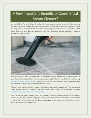 A Few Important Benefits of Commercial Steam Cleaner