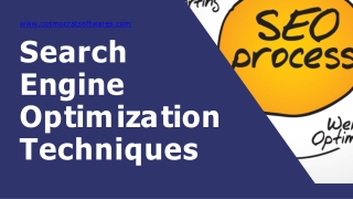 Search Engine Optimization Techniques (1)