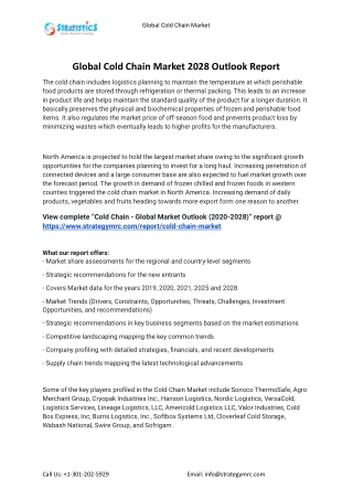 2021 Cold Chain Industry Global Analysis Report