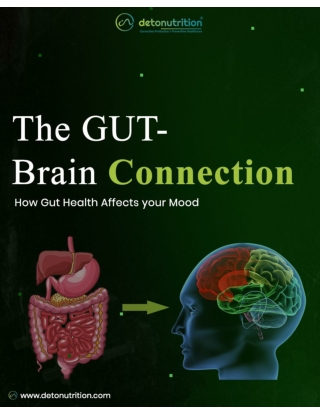 Improve your Gut and brain connection with the help of Best Digestive Enzyme Supplements Capsules