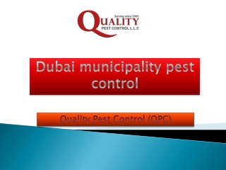 Dubai municipality pest control