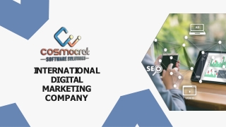 INTERNATIONAL  DIGITAL  MARKETING  COMPANY