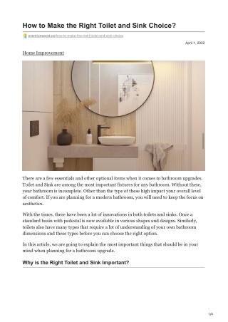 How to Make the Right Toilet and Sink Choice premiumpost.co