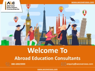 Study in UK Consultants