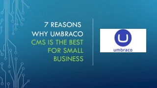 7 Reasons Why Umbraco CMS is the Best for Small Business