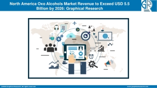 North America Oxo Alcohols Market