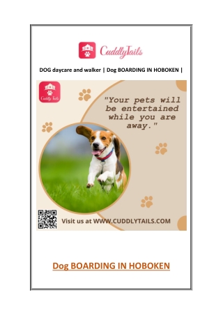 DOG daycare and walker | Dog BOARDING IN HOBOKEN | cuddlytails.com