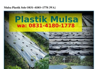 Mulsa Plastik Solo O8౩1~Ꮞ18O~1ᜪᜪ8{WhatsApp}