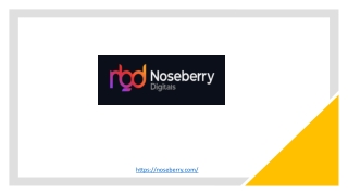 Social Media Marketing Agency - Noseberry Digitals