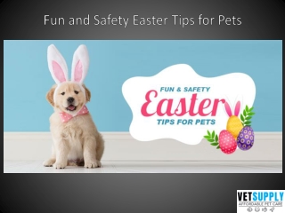 Fun and Safety Easter Tips for Pets | VetSupply