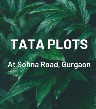 Tata Housing Plots in Sohna Road Gurgaon - Download  PDF