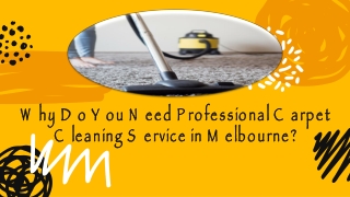 Why Do You Need Professional Carpet Cleaning Service in Melbourne?