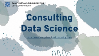 Consulting Data Science