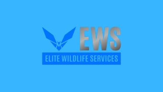 Exterminator - Elite Wildlife Services