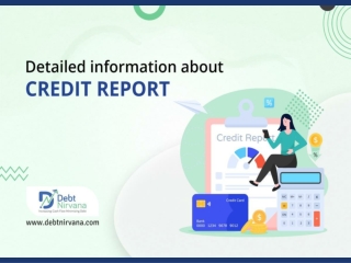 Detailed information about credit report