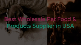 Best Wholesale Item and Food For Pets