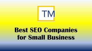 Best SEO Companies for Small Business