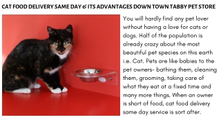 Cat Food Delivery Same Day & Its Advantages Down Town Tabby Pet Store