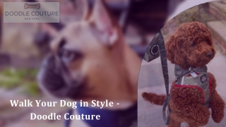 Walk Your Dog in Style -  Doodle Couture