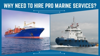 High Tech Marine Service With Maintenance