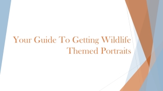 Tips To Follow Before Getting Horse-Themed Portraits