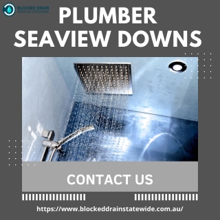 Plumber Seaview Downs | Blocked Drains Statewide