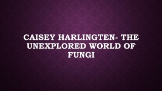 Caisey Harlingten- The unexplored world of Fungi