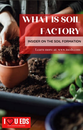 What Is Soil Factory – What Does Soil Level Mean