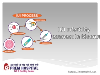 IUI infertility treatment In Meerut