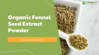 Organic Fennel Seed Extract Powder