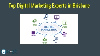 Top Digital Marketing Experts in Brisbane