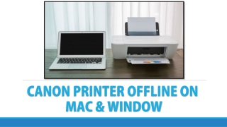 Solutions to Resolve Canon Printer Offline on Mac & Window