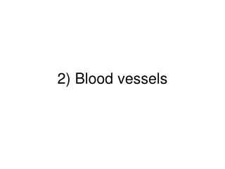 Transport in Humans (part 2): Blood vessels