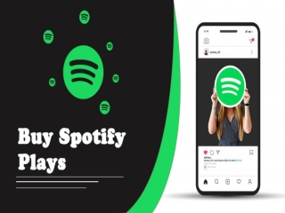 Get a Variety of Other Services- When You Buy Spotify Plays