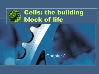 Cells (part 1): Animal Cells