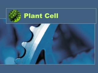 Cells (part 2): Plant Cells & Specialized cells