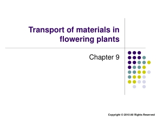 Transport in Plants (part 1): Monocotyledons vs Dicotyledons