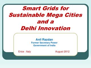 Smart Grids for Sustainable Mega Cities and a Delhi Innovation