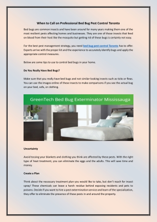 When to Call on Professional Bed Bug Pest Control Toronto
