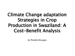 Climate Change adaptation Strategies in Crop Production in Swaziland : A Cost-Benefit Analysis by Phindile Shongwe