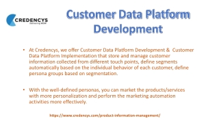 Customer Data Platform Development