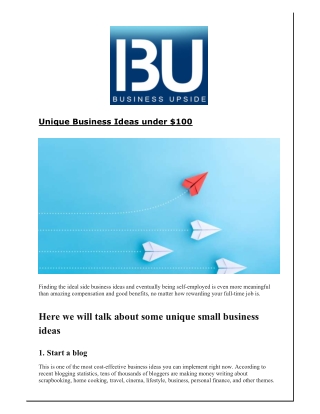 Unique Business Ideas under $100