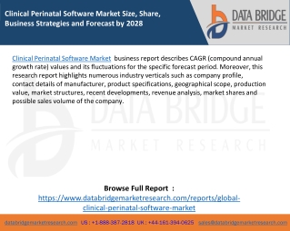Clinical Perinatal Software Market Size, Share, Business Strategies and Forecast by 2028