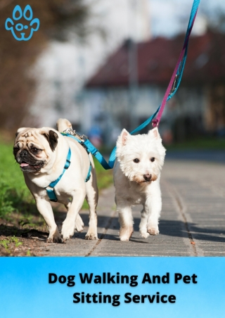 Dog Walking And Pet  Sitting Service